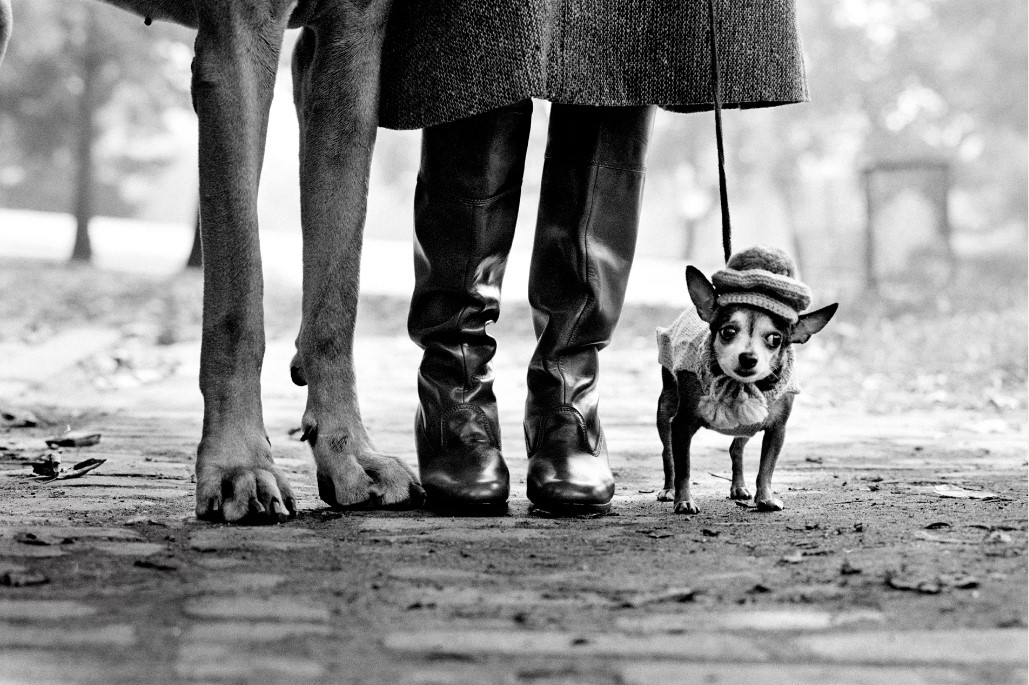 « Elliot Erwitt, une rétrospective » au musée Maillol