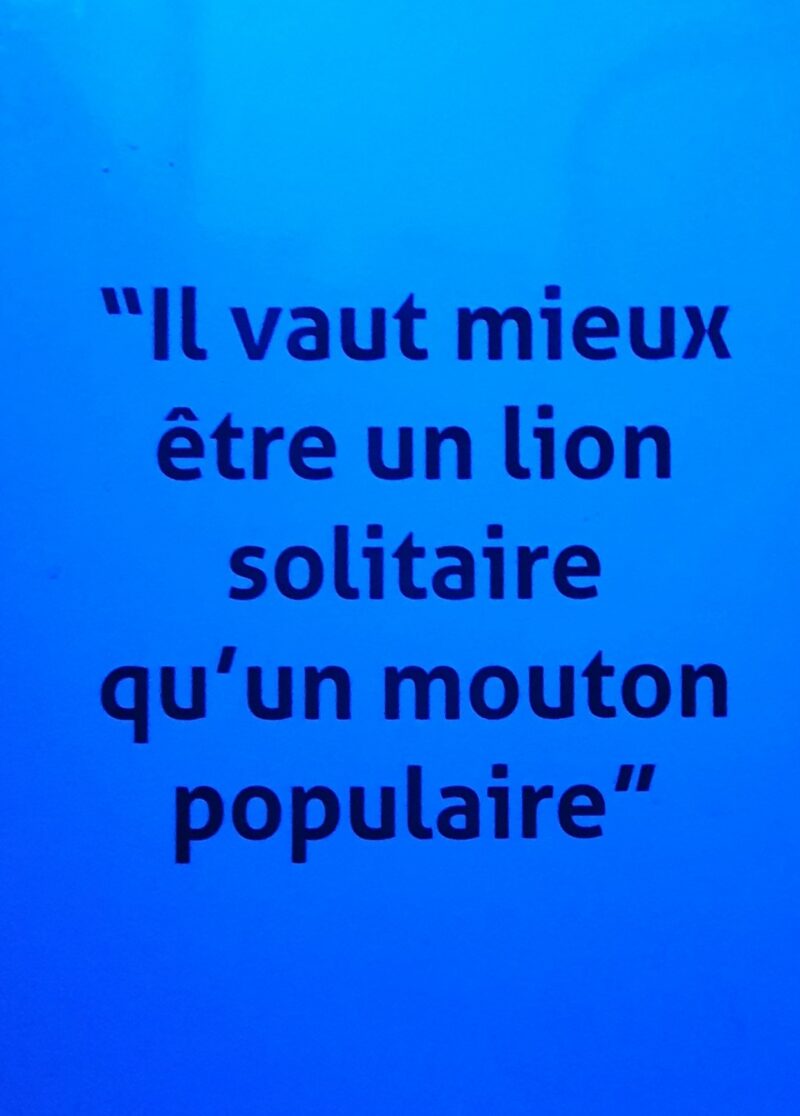 Dans un bistrot du Vème